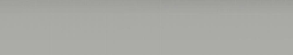 Passion Bl 60 trang 248