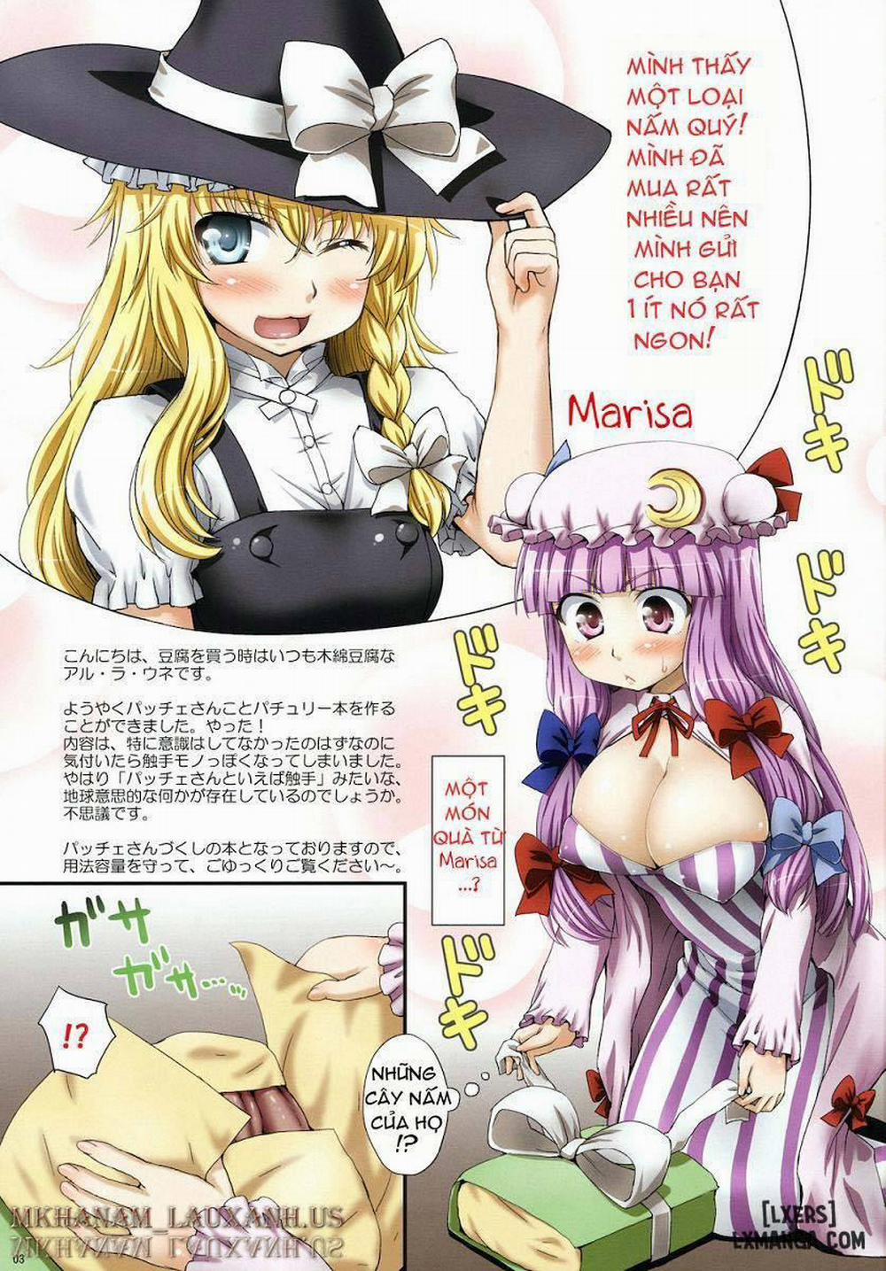 Patchouli And Marisa's Mushrooms Oneshot trang 2