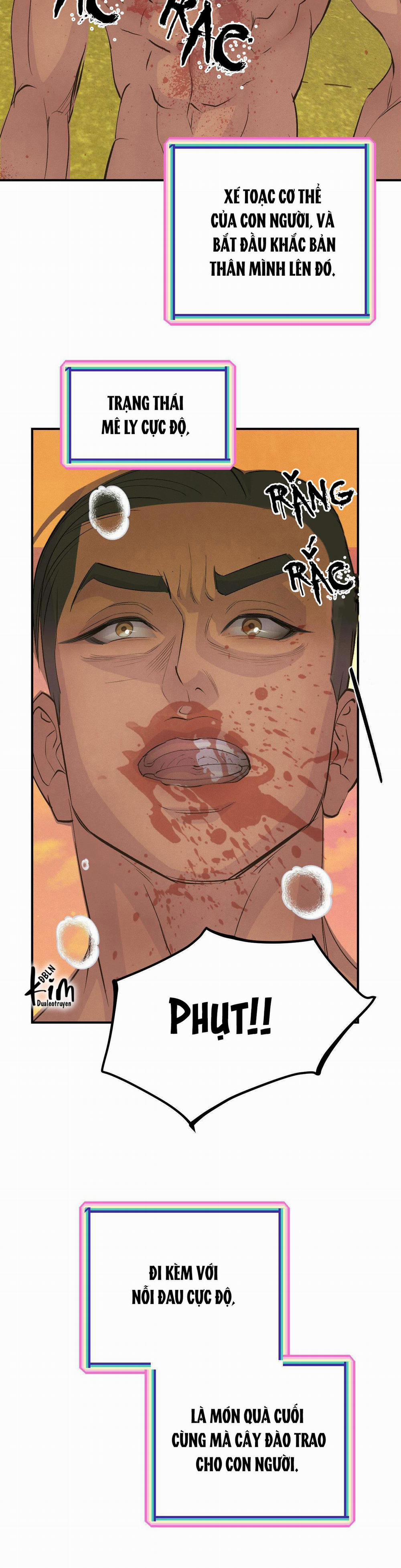 Peach Boy 13 trang 17