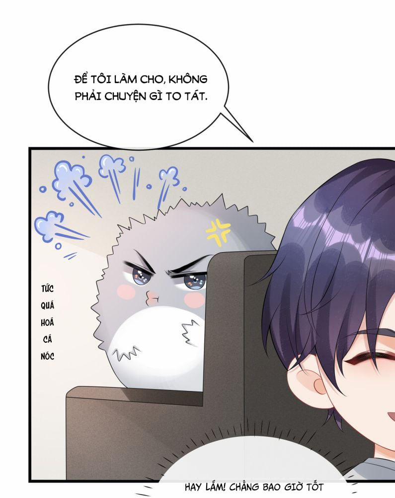 Peter Pan và Cinderella 12 trang 8