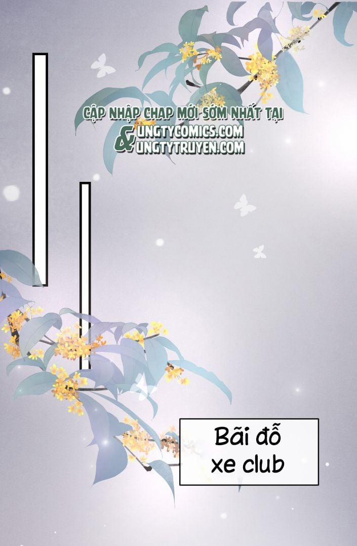 Peter Pan và Cinderella 3 trang 4