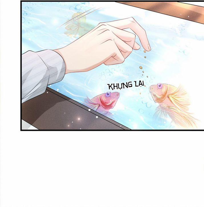 Peter Pan và Cinderella 4 trang 20