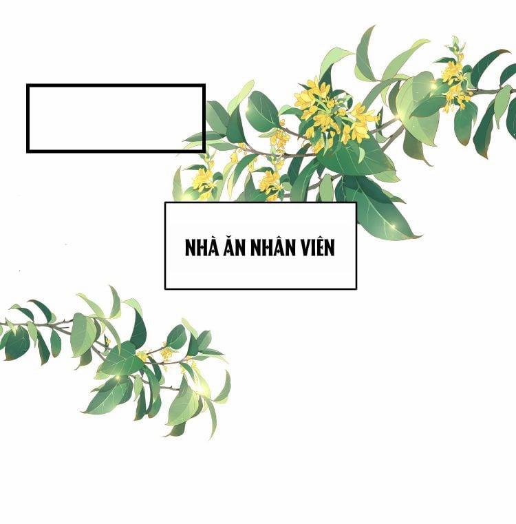 Peter Pan và Cinderella 9 trang 16