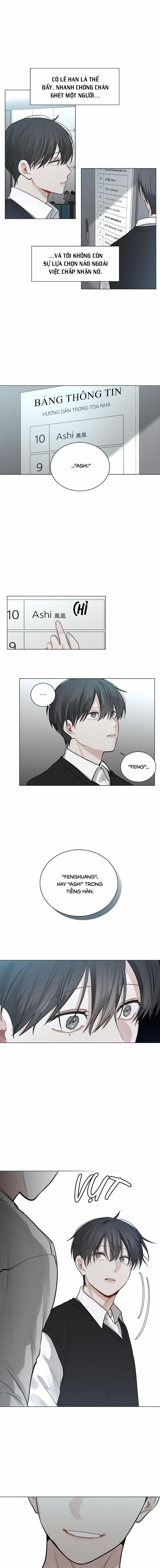 Phải Chăng Là Cậu? 4 trang 6