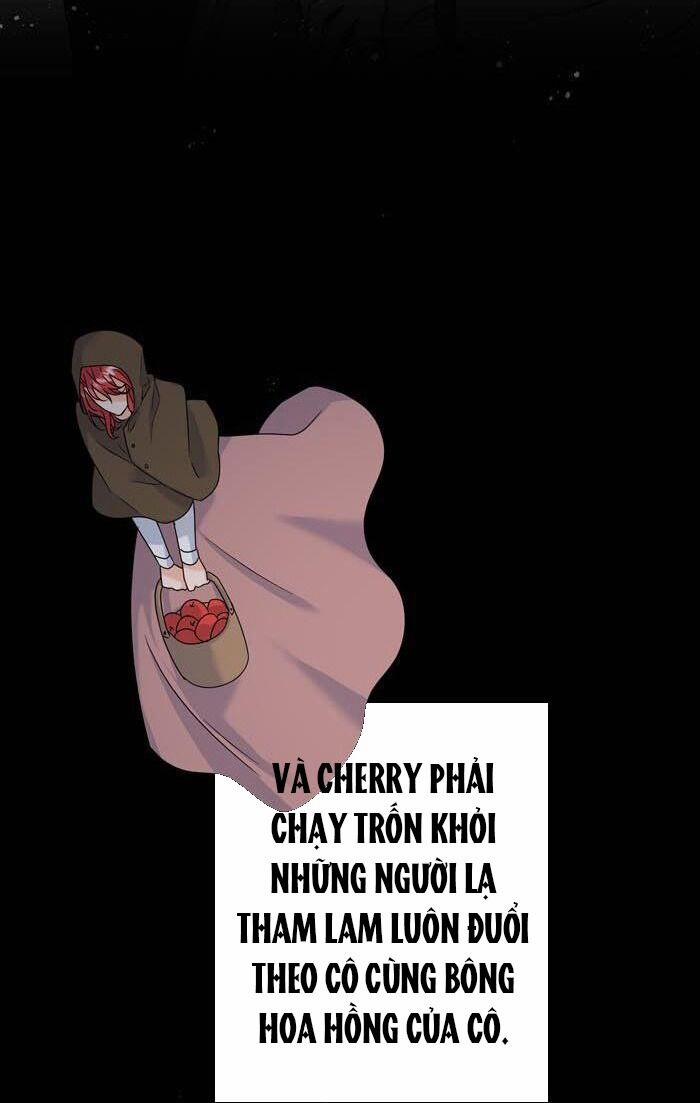 Phải Lòng Kẻ Thù 15 trang 11