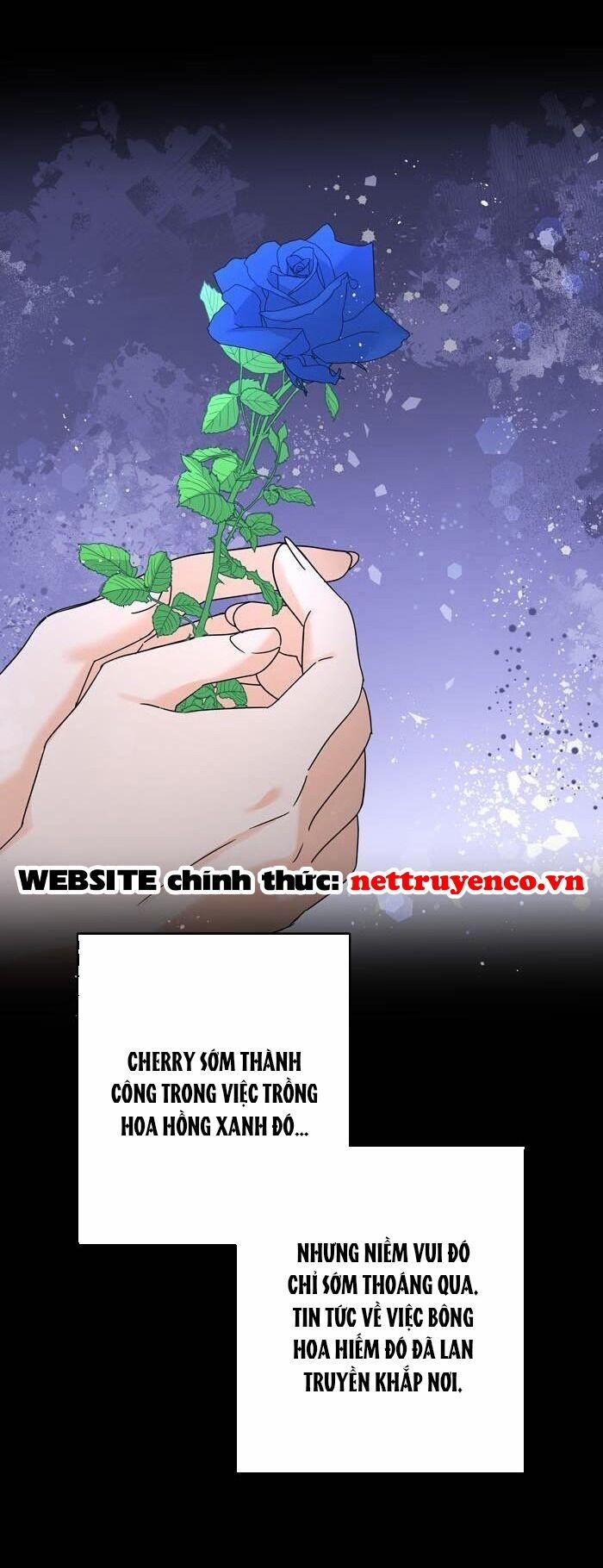 Phải Lòng Kẻ Thù 15 trang 9