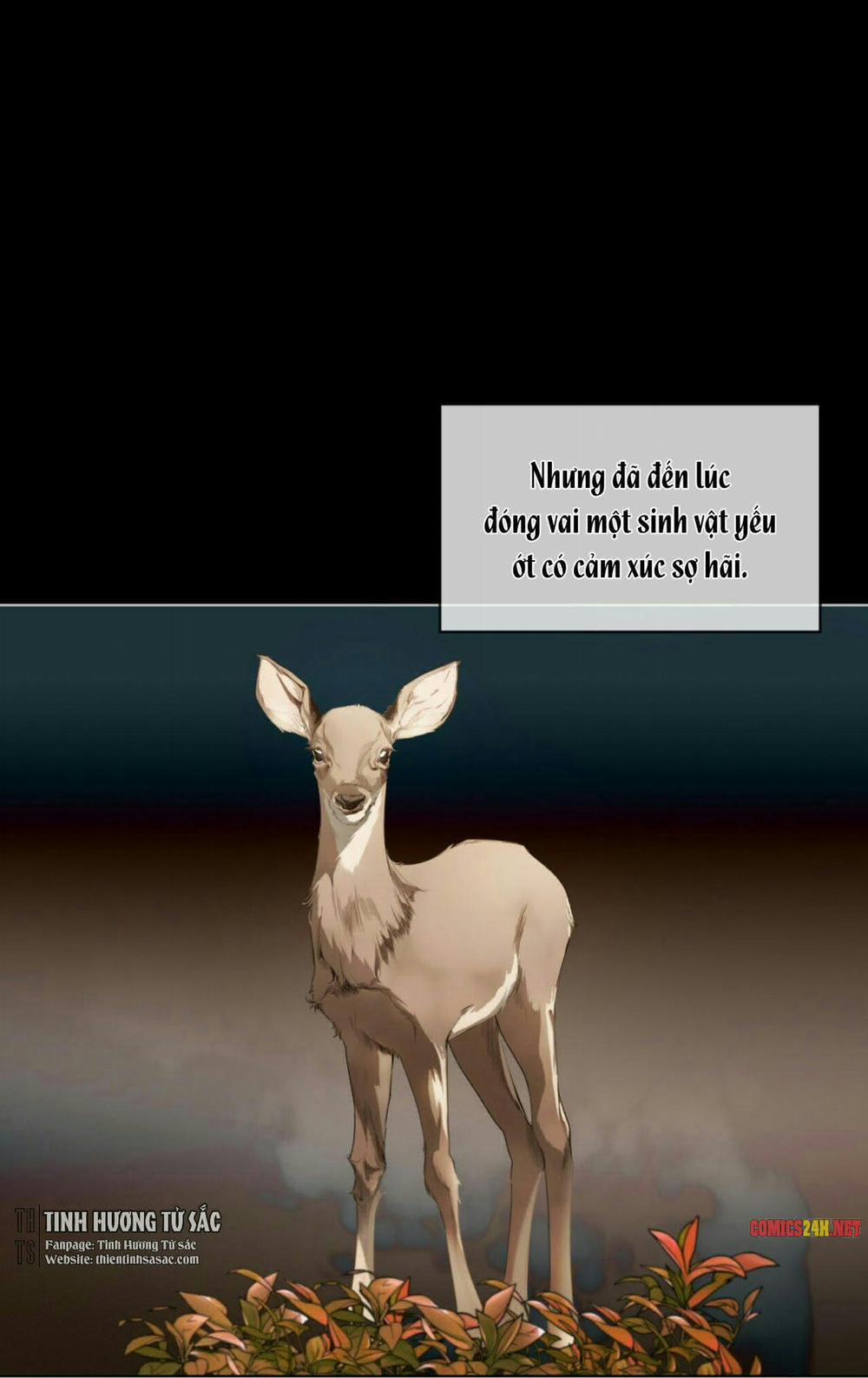 Phạm Luật 19 trang 77