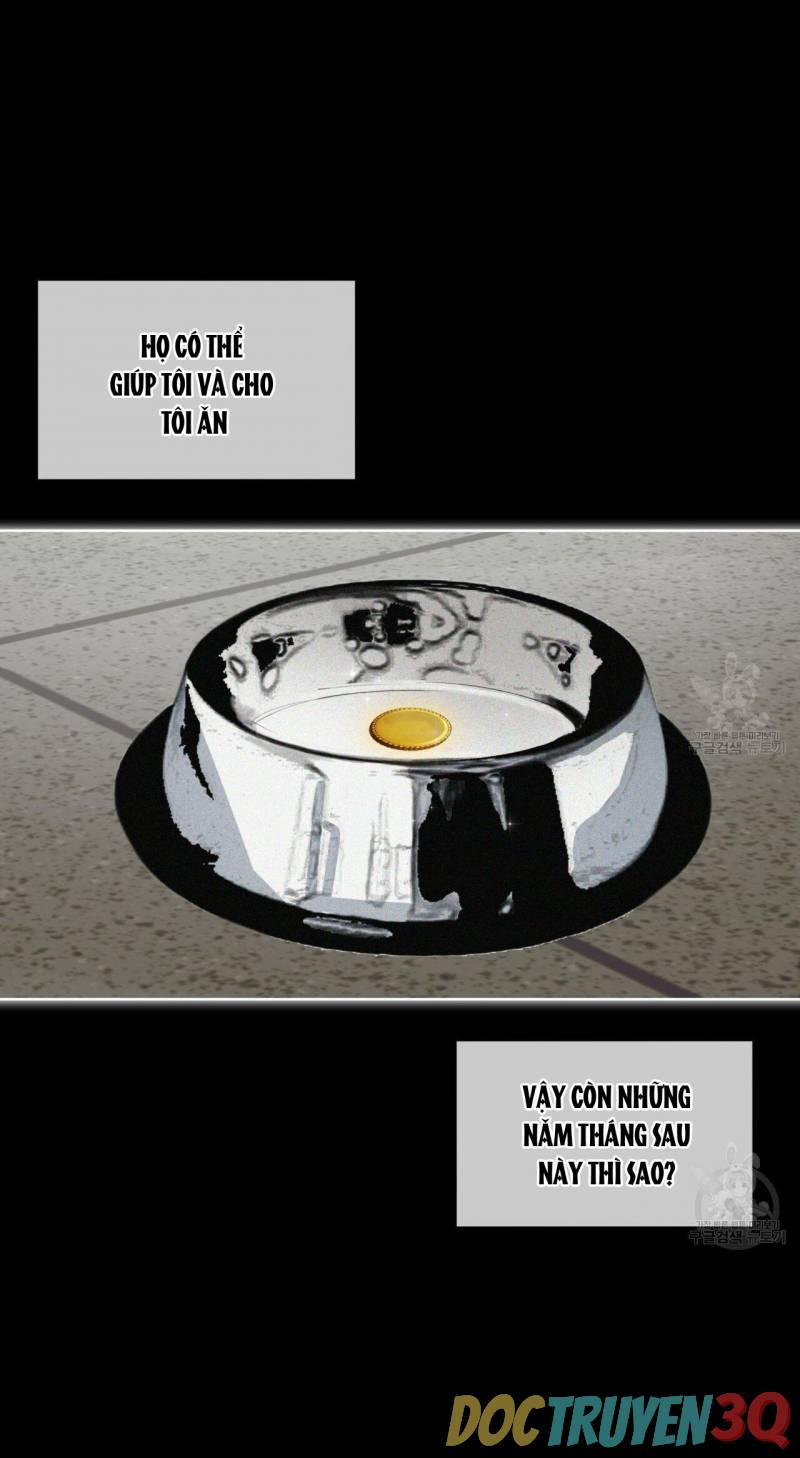 Phạm Luật 24.2 trang 14