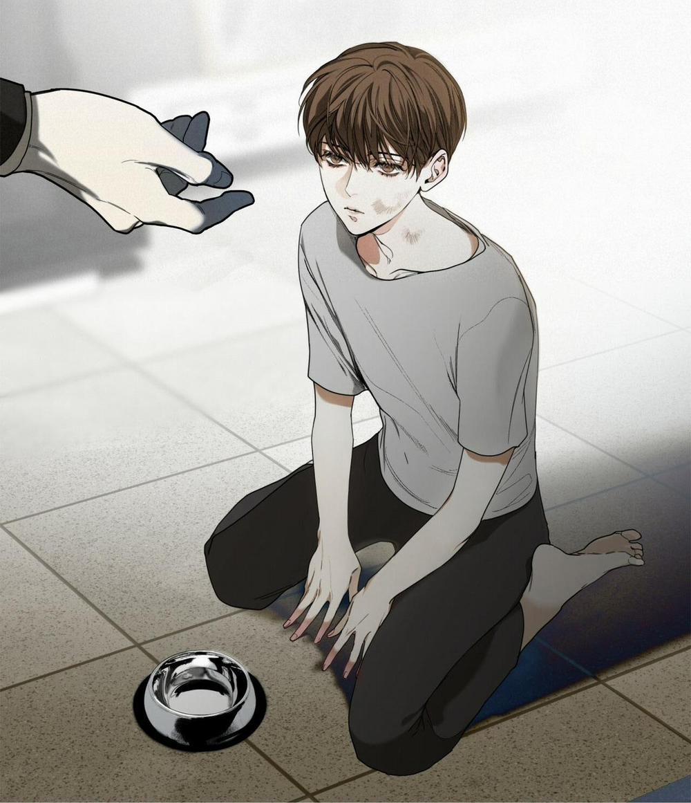 Phạm Luật 24 trang 67