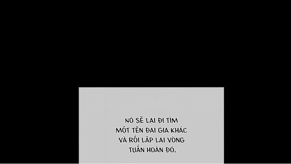 Phạm Luật 24 trang 78