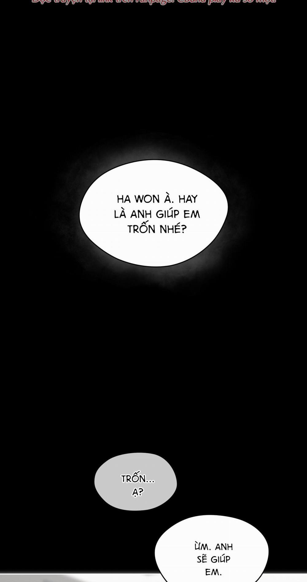 Phạm Luật 41 trang 12