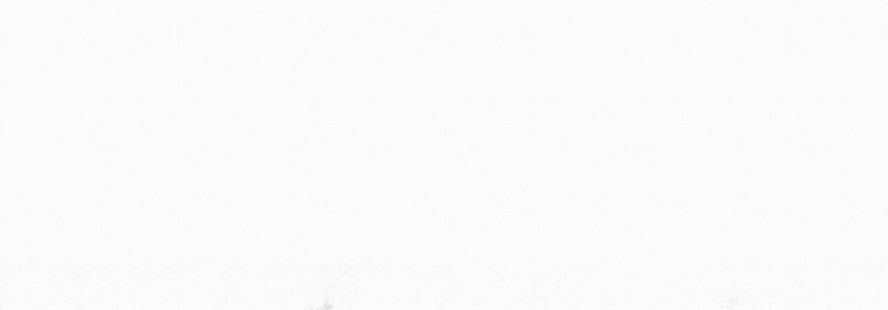 Phạm Luật 46 trang 114