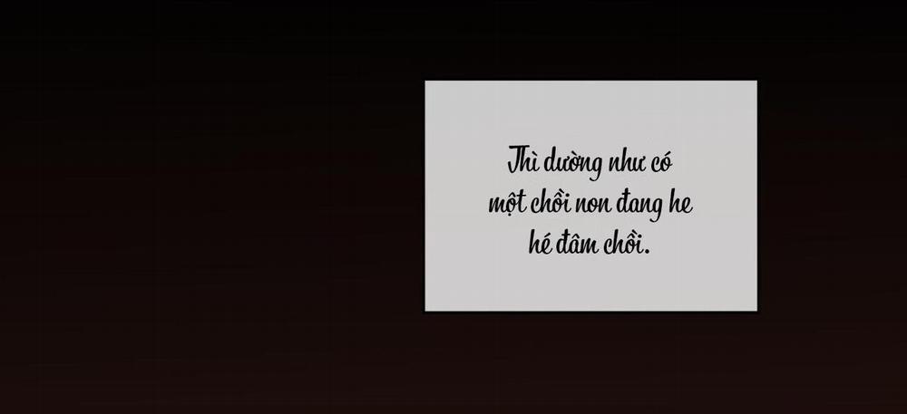 Phạm Luật 58 trang 62