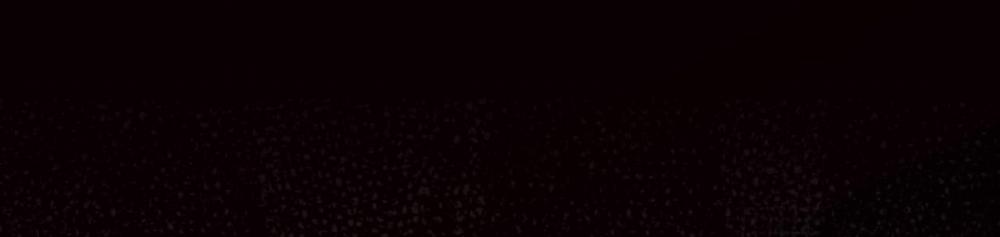 Phạm Luật 60 trang 81