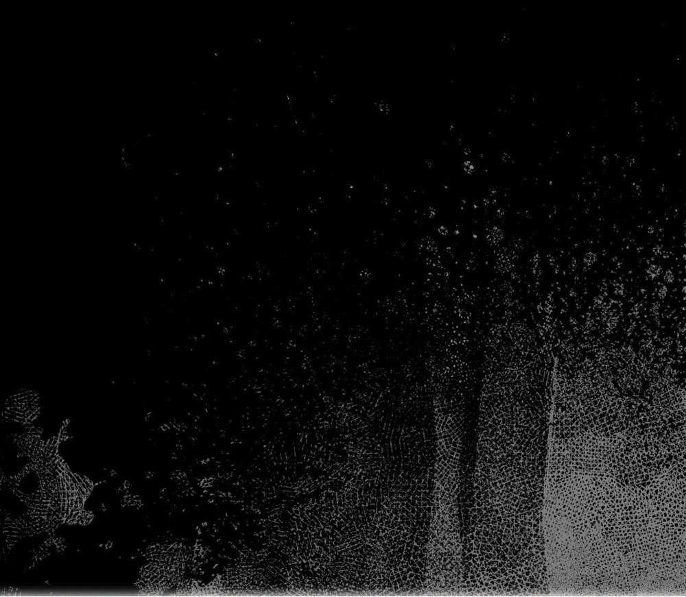 Phạm Luật 61 trang 56