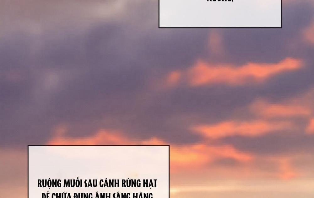 Phạm Luật 69.2 trang 56