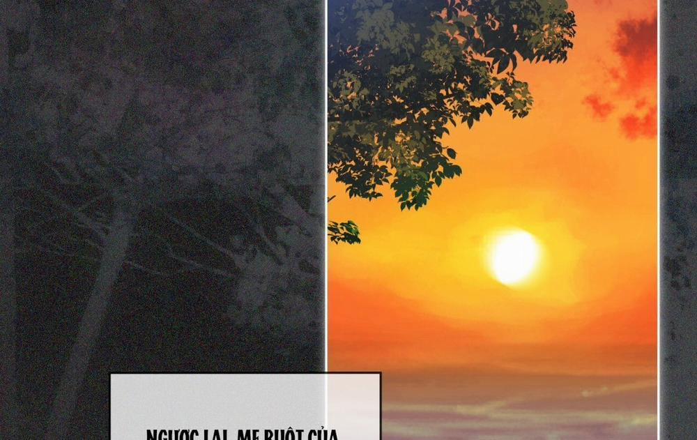 Phạm Luật 69.2 trang 63