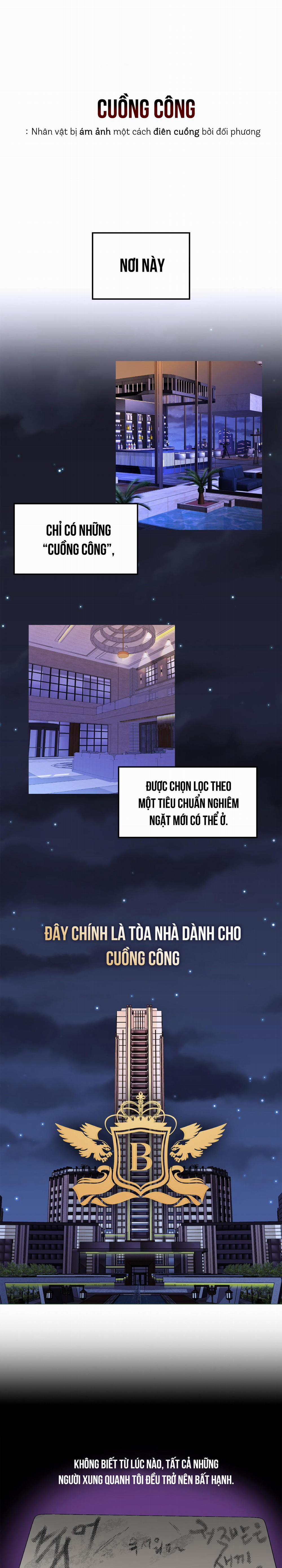 Phản Chiếu 0 trang 0