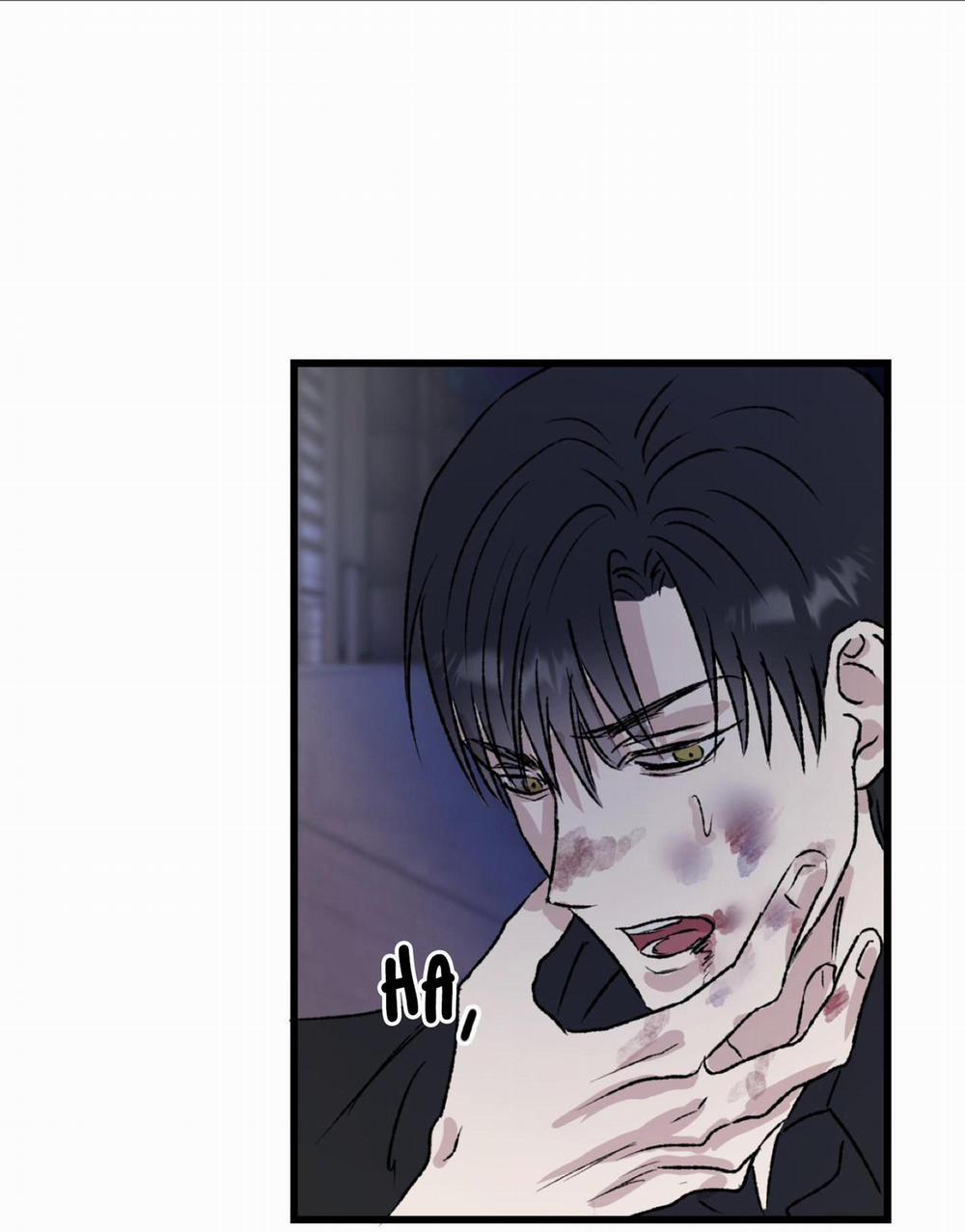 Phản Chiếu 4 trang 17