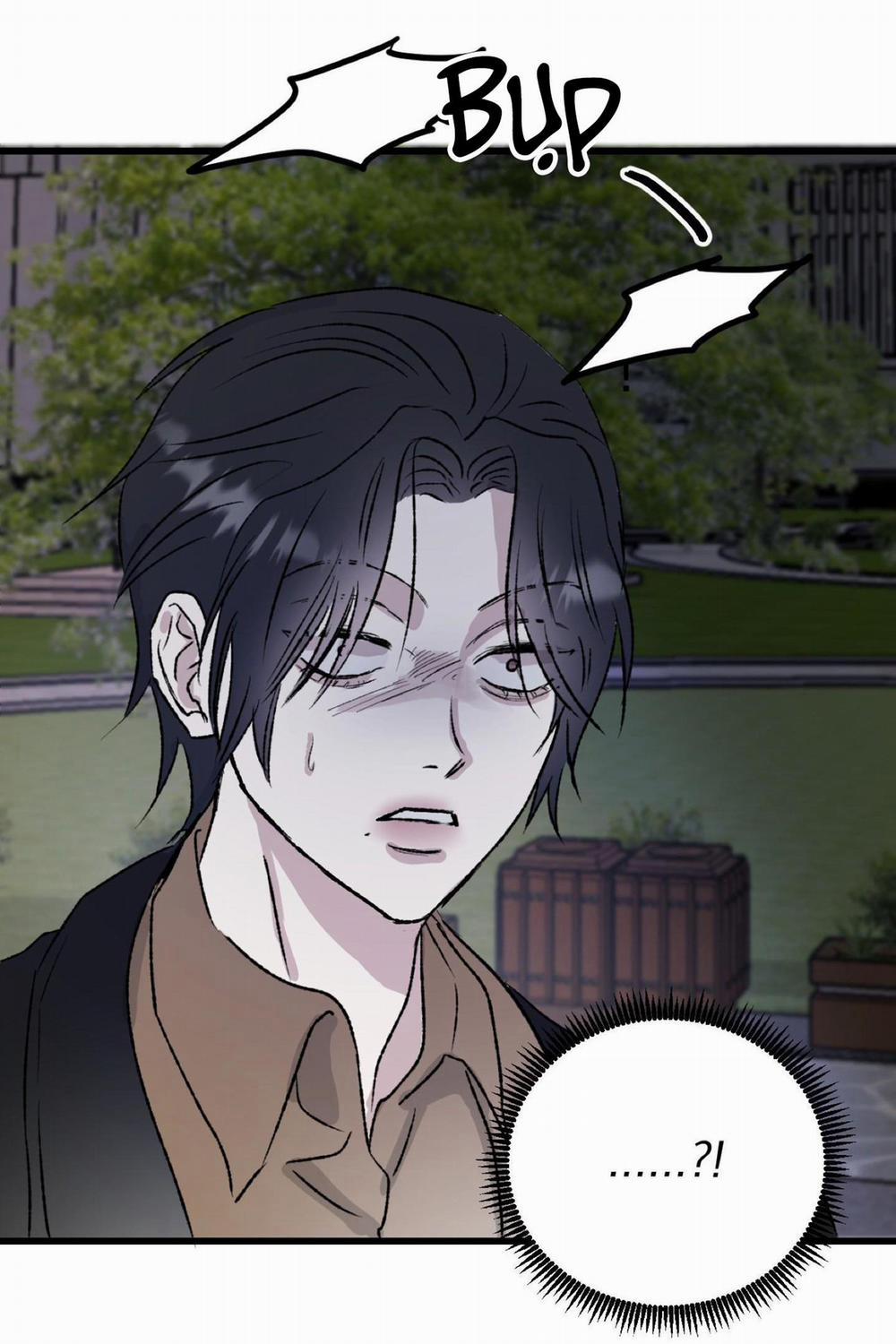 Phản Chiếu 4 trang 6