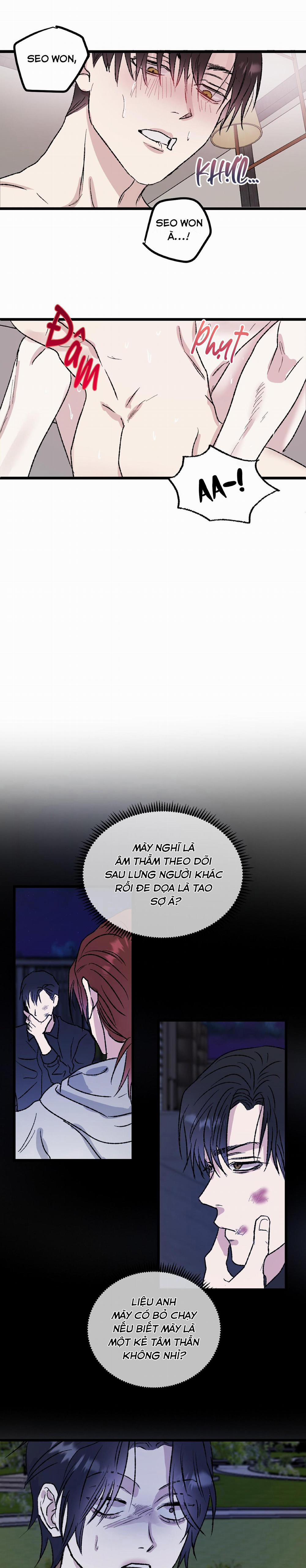 Phản Chiếu 5 trang 11