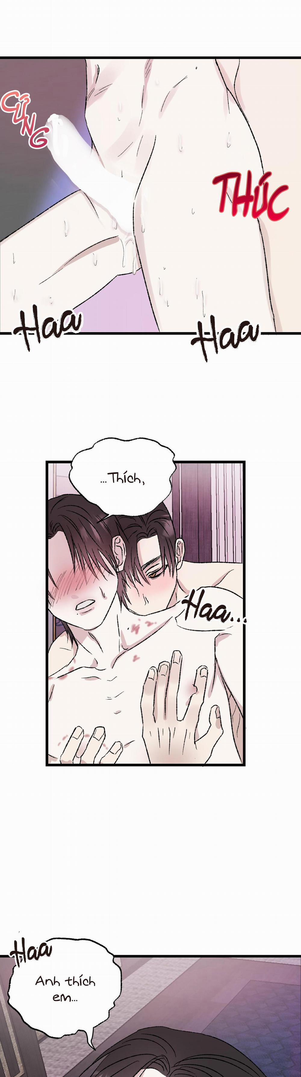 Phản Chiếu 5 trang 15