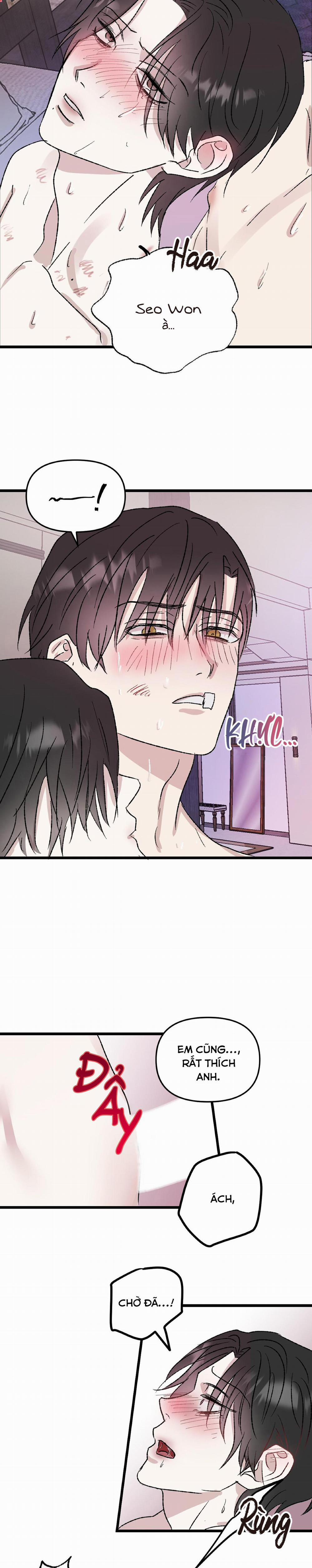 Phản Chiếu 5 trang 16