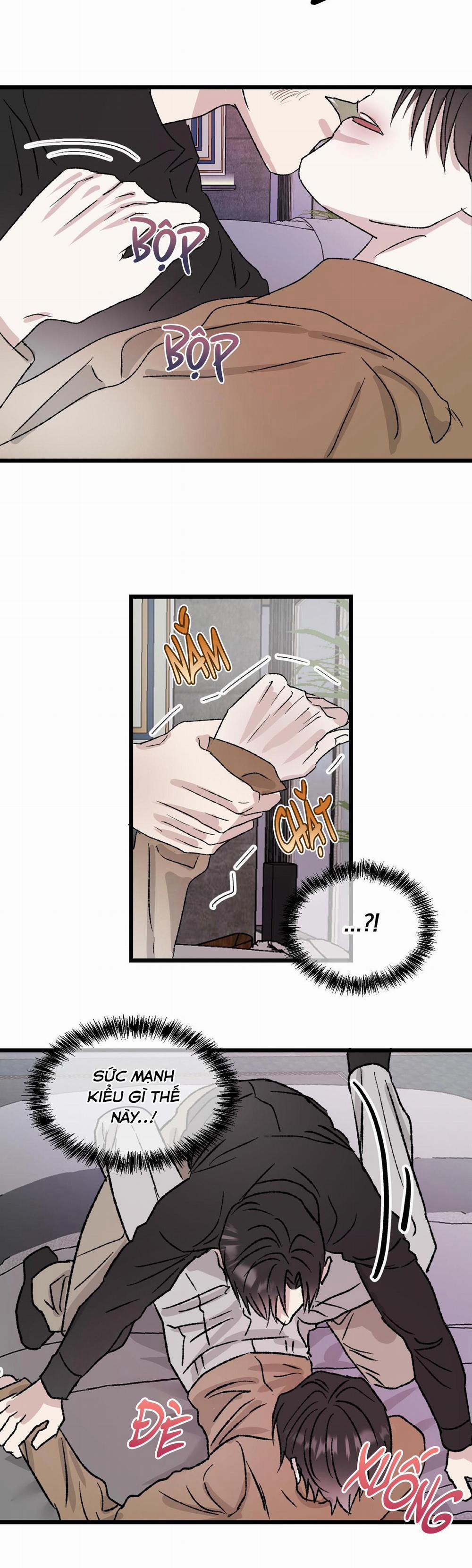 Phản Chiếu 5 trang 2