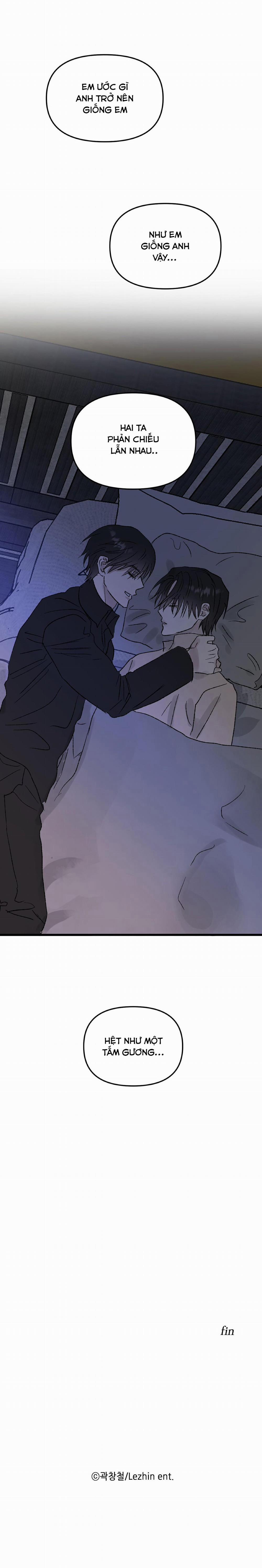 Phản Chiếu 5 trang 21