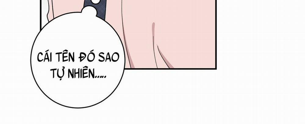 Phản Công 11 trang 43