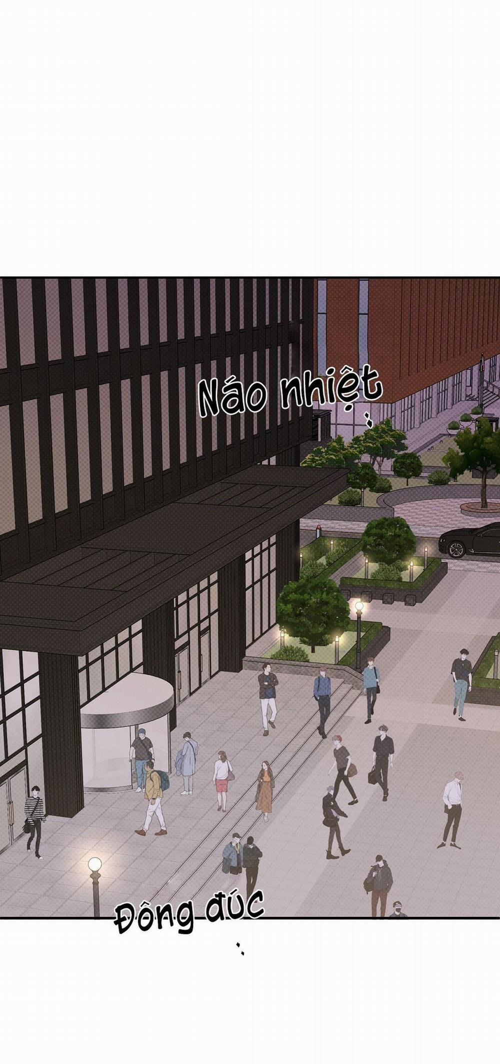 Phản Công 12 trang 0