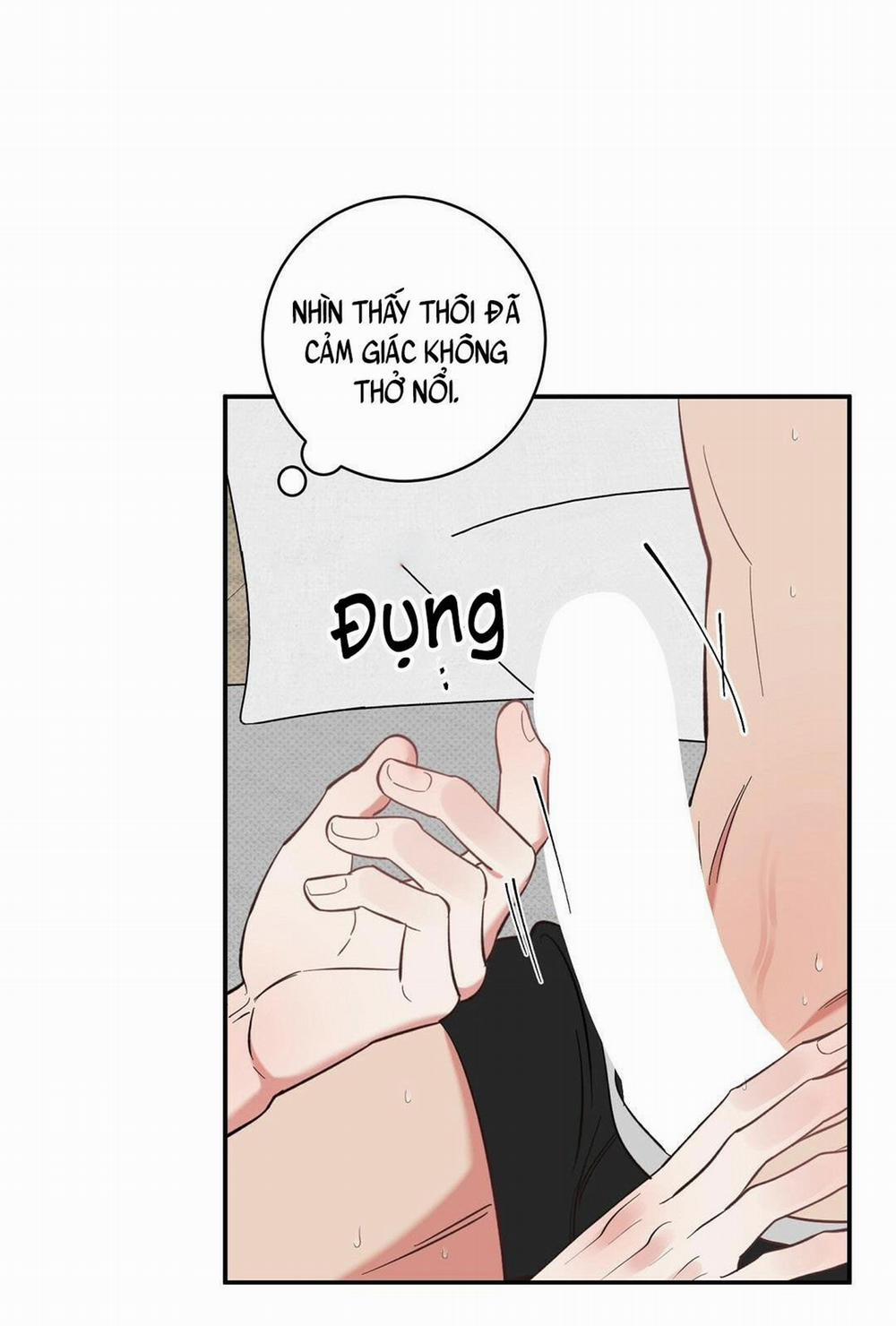 Phản Công 12 trang 19