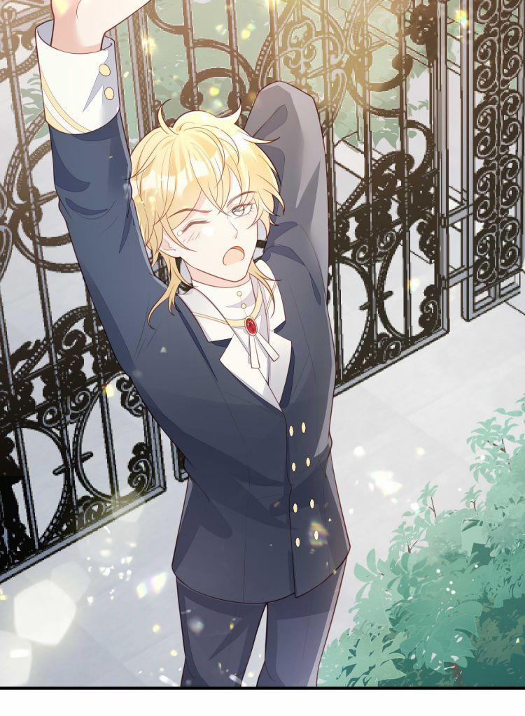 Phản Diện Bị Truy Thành Đoàn Sủng 10 trang 31