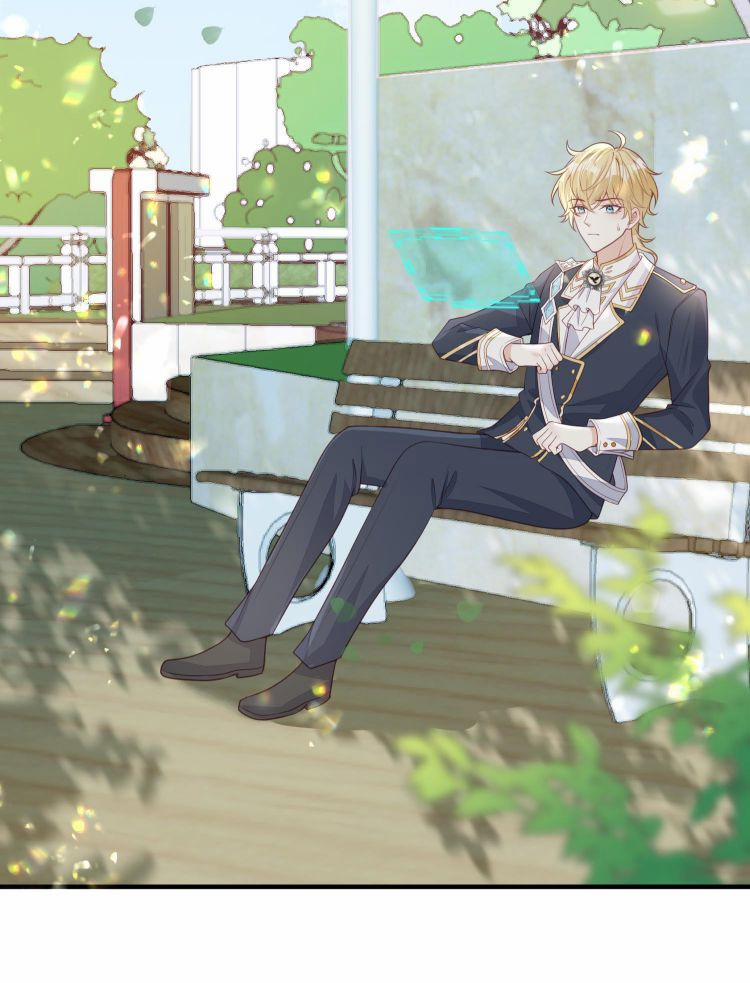 Phản Diện Bị Truy Thành Đoàn Sủng 13 trang 3