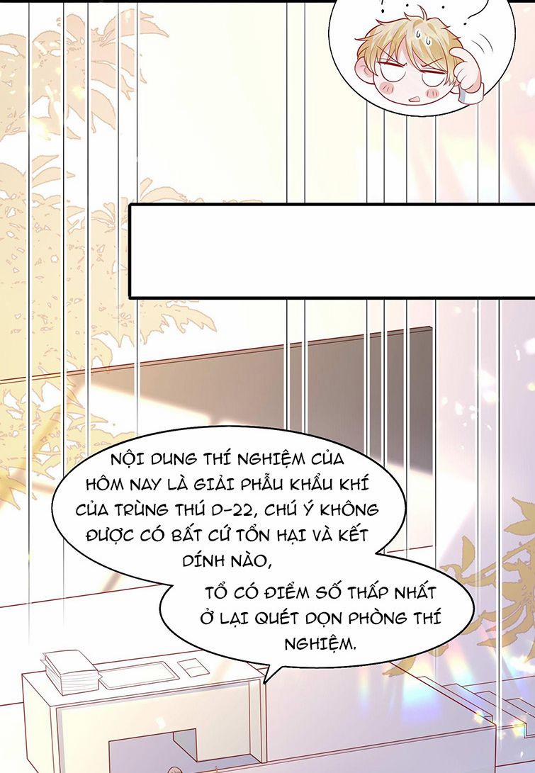 Phản Diện Bị Truy Thành Đoàn Sủng 17 trang 9