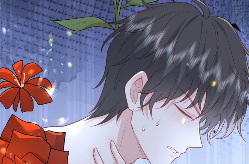 Phản Diện Bị Truy Thành Đoàn Sủng 21 trang 12