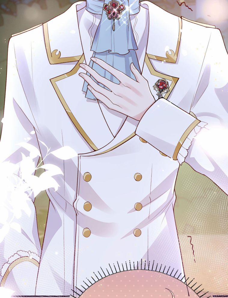 Phản Diện Bị Truy Thành Đoàn Sủng 3 trang 21