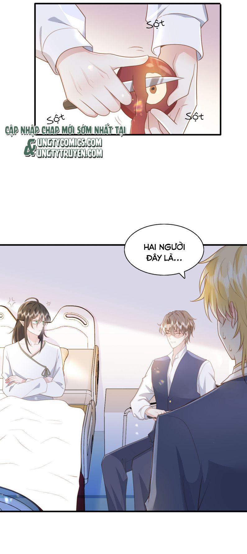 Phản Diện Bị Truy Thành Đoàn Sủng 33 trang 3