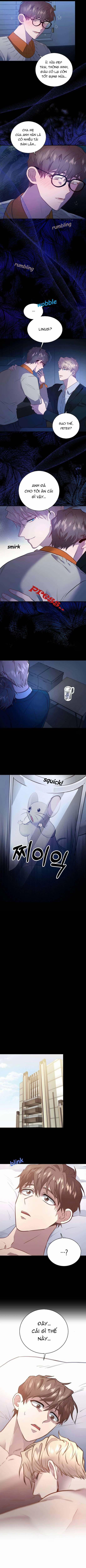 Phản Diện Đều Là Những Kẻ Ngu Ngốc 3 trang 2