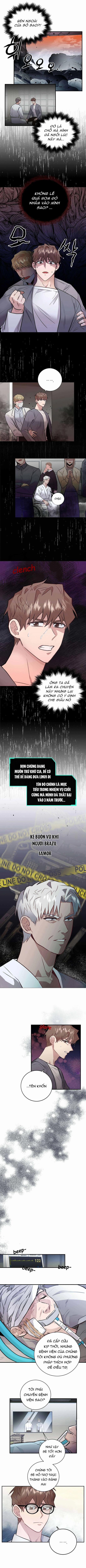 Phản Diện Đều Là Những Kẻ Ngu Ngốc 4 trang 2