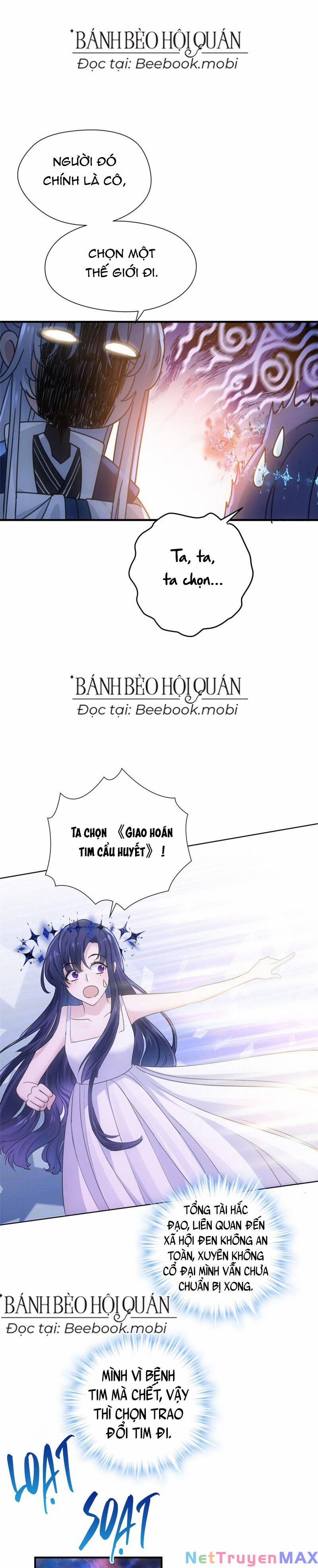 Pháo Hôi Cô Ấy Không Ưa Kịch Bản Này Lâu Rồi 1 trang 12