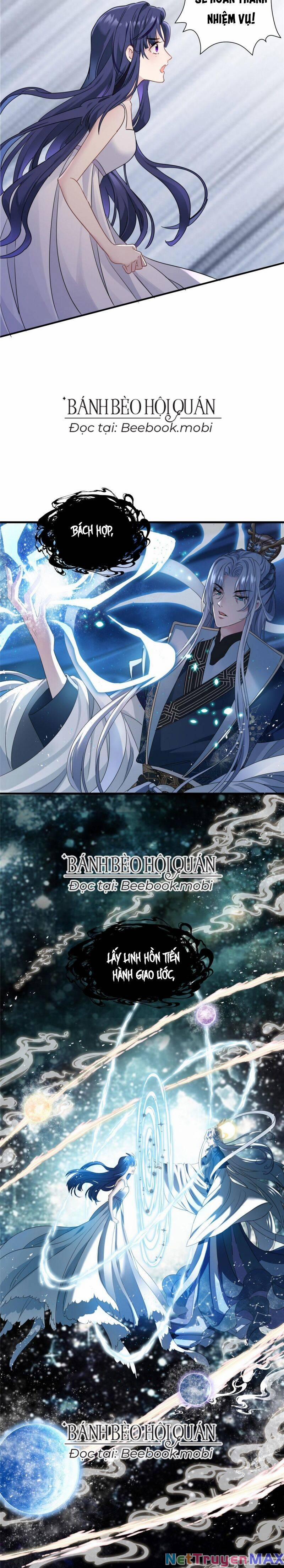 Pháo Hôi Cô Ấy Không Ưa Kịch Bản Này Lâu Rồi 1 trang 7