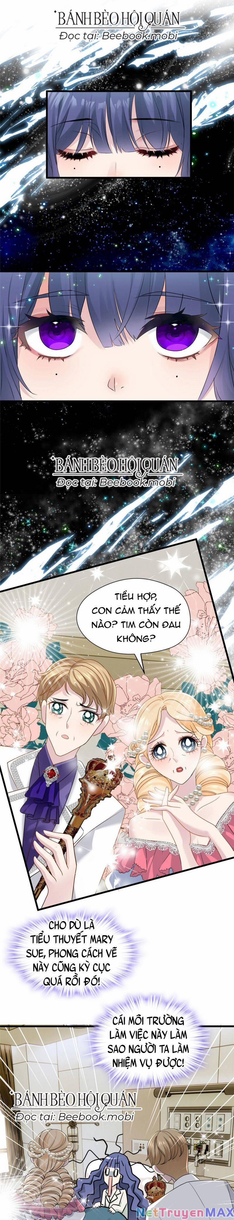 Pháo Hôi Cô Ấy Không Ưa Kịch Bản Này Lâu Rồi 2 trang 1