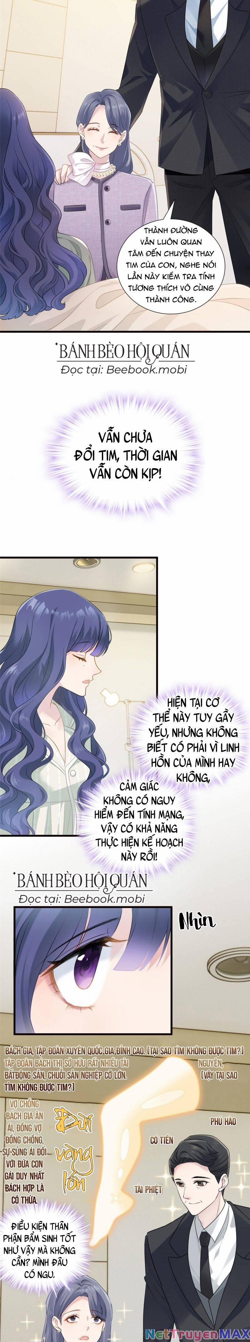 Pháo Hôi Cô Ấy Không Ưa Kịch Bản Này Lâu Rồi 2 trang 11