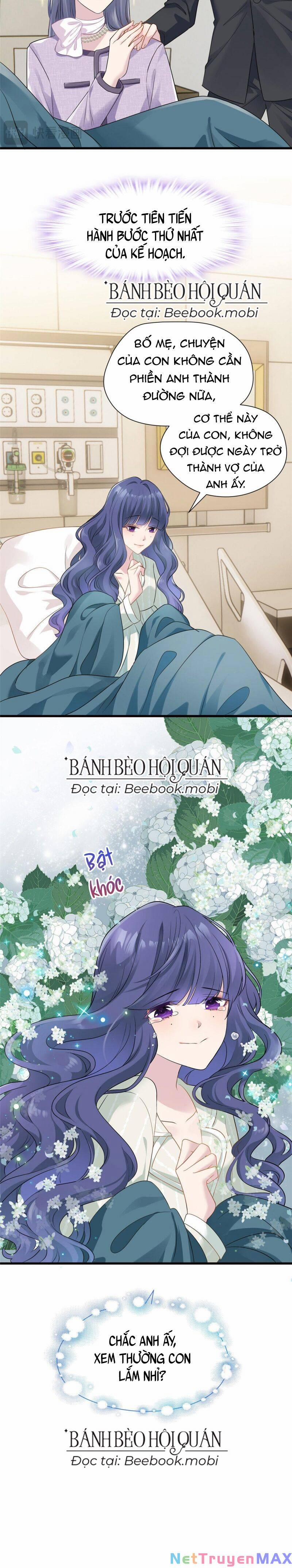 Pháo Hôi Cô Ấy Không Ưa Kịch Bản Này Lâu Rồi 2 trang 12