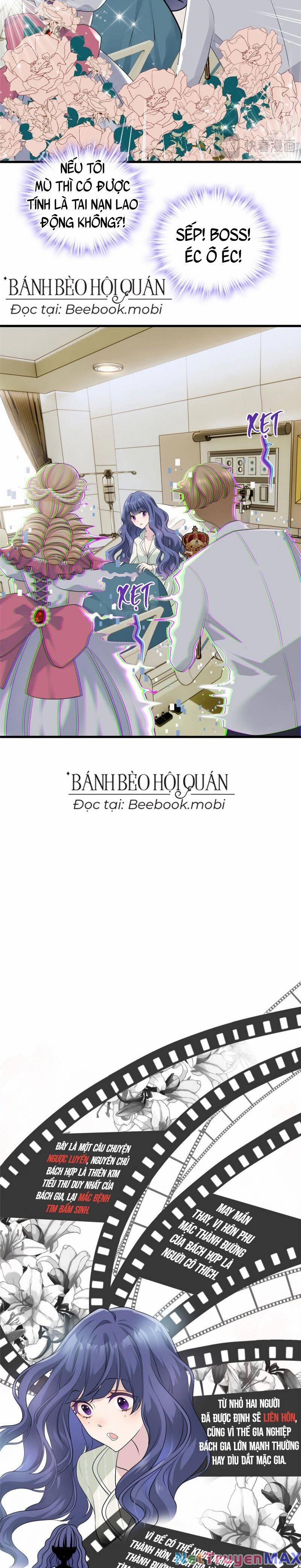 Pháo Hôi Cô Ấy Không Ưa Kịch Bản Này Lâu Rồi 2 trang 2