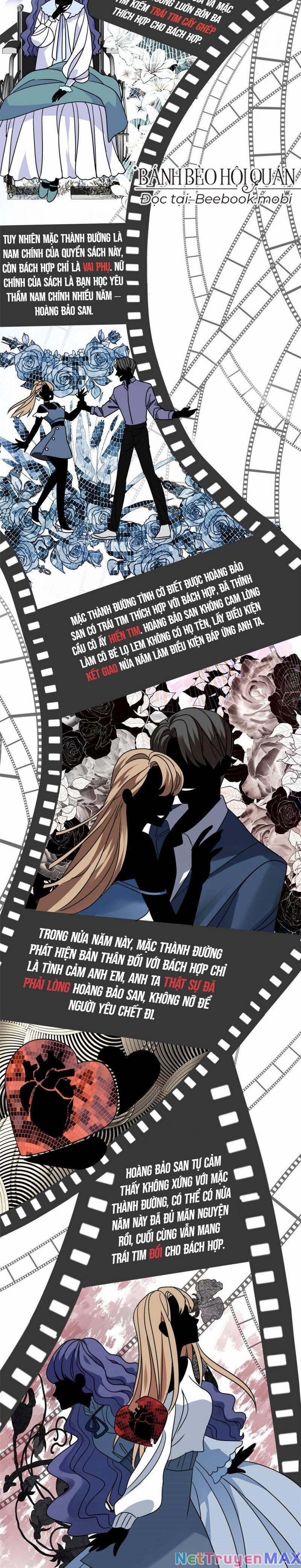 Pháo Hôi Cô Ấy Không Ưa Kịch Bản Này Lâu Rồi 2 trang 3