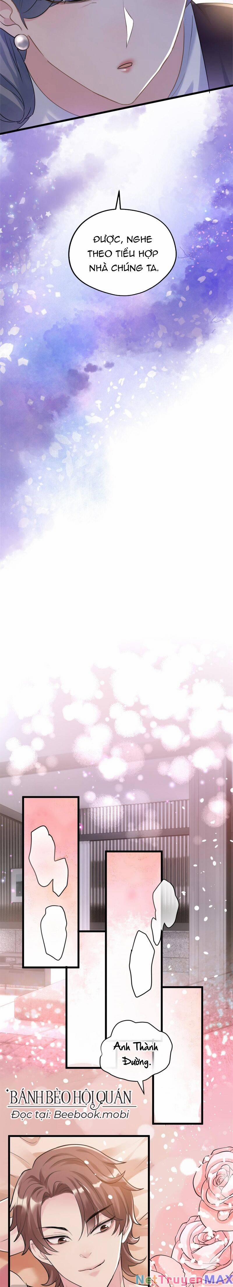 Pháo Hôi Cô Ấy Không Ưa Kịch Bản Này Lâu Rồi 5 trang 5