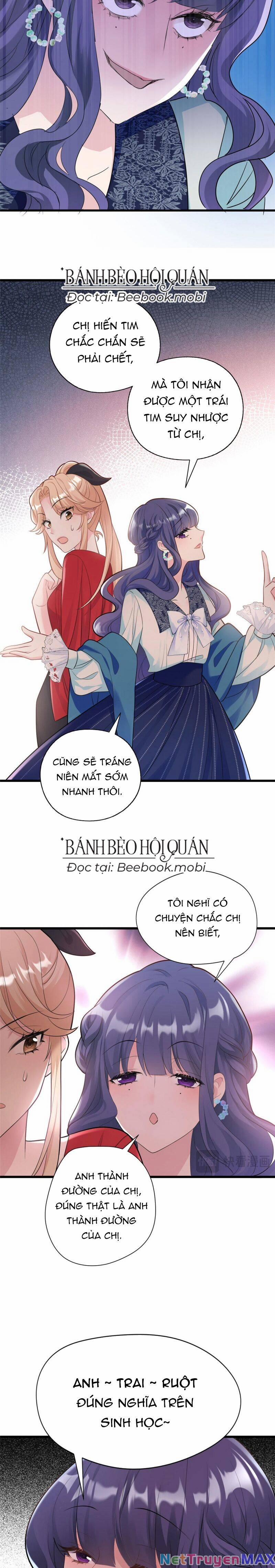 Pháo Hôi Cô Ấy Không Ưa Kịch Bản Này Lâu Rồi 7 trang 7