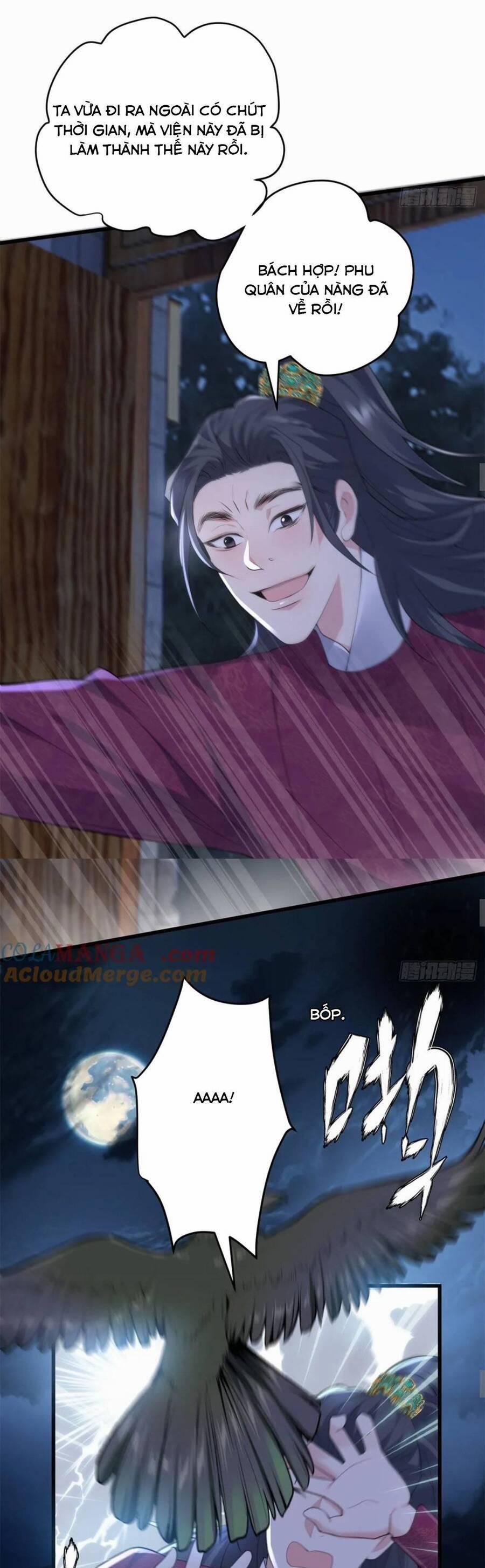 Pháo Hôi Cô Ấy Không Ưa Kịch Bản Này Lâu Rồi 87 trang 8